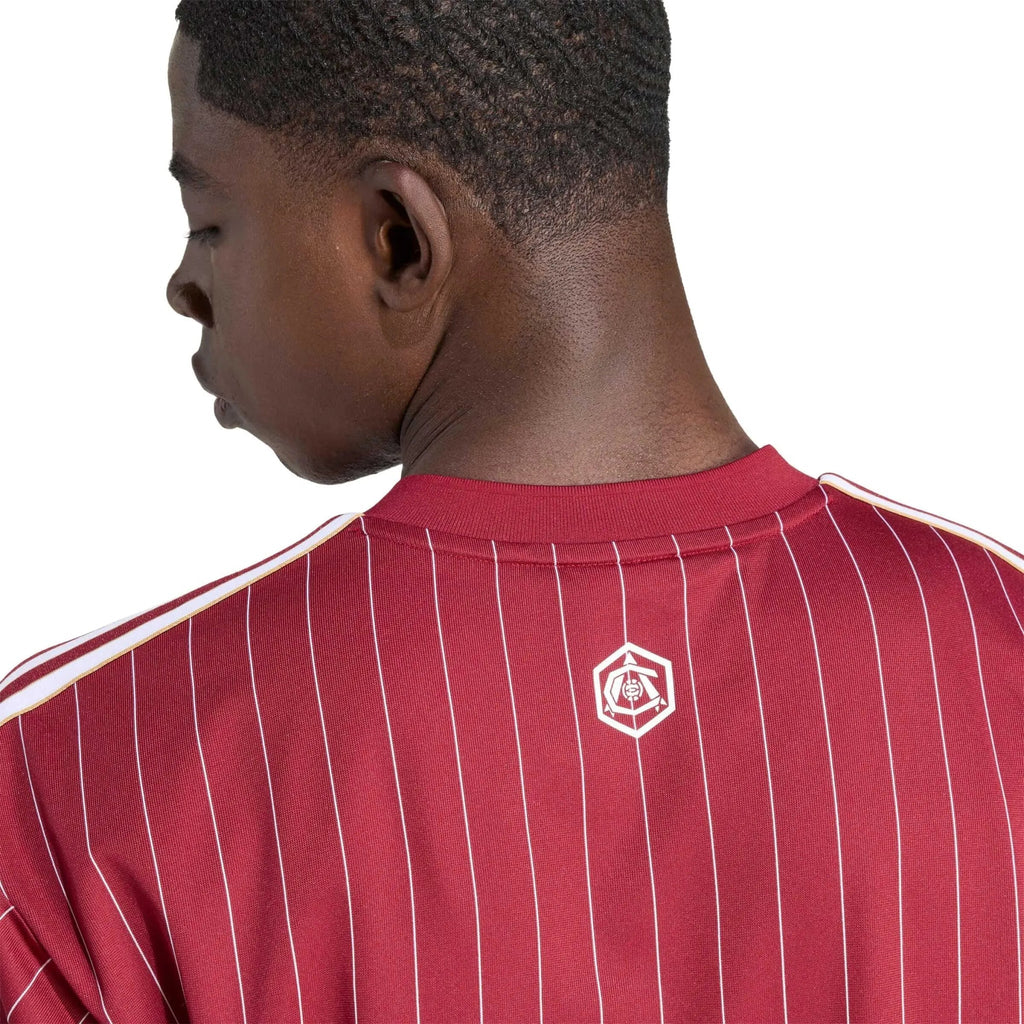 Maillot de football Arsenal Homme Icône 2025-26