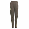 Pantalon de survêtement jeune Real Madrid 2025-26