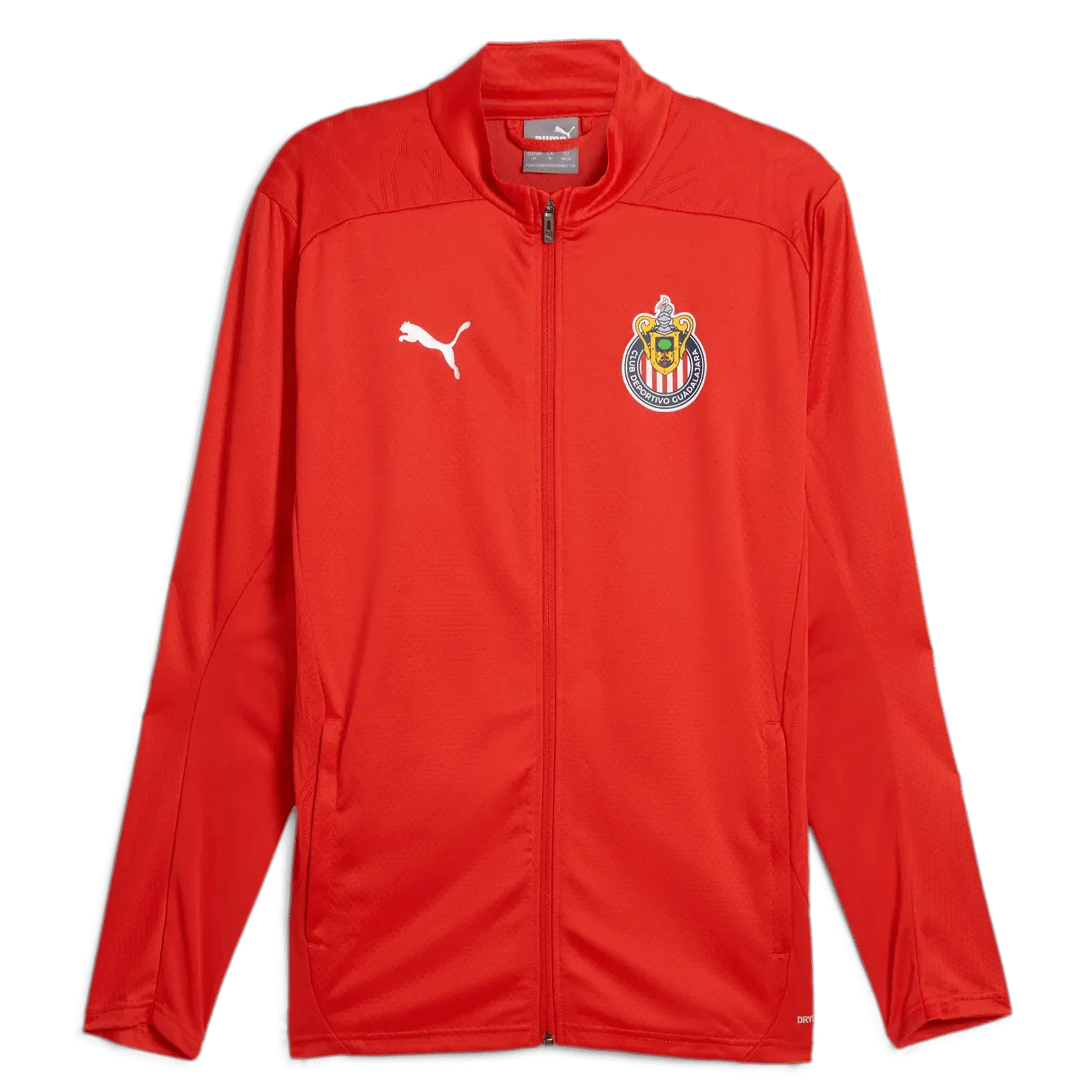 Chivas 2024-25 Men's Training Jacket